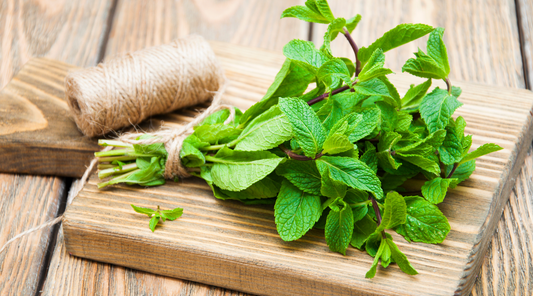 Mint & Nettle Goats Milk Soap
