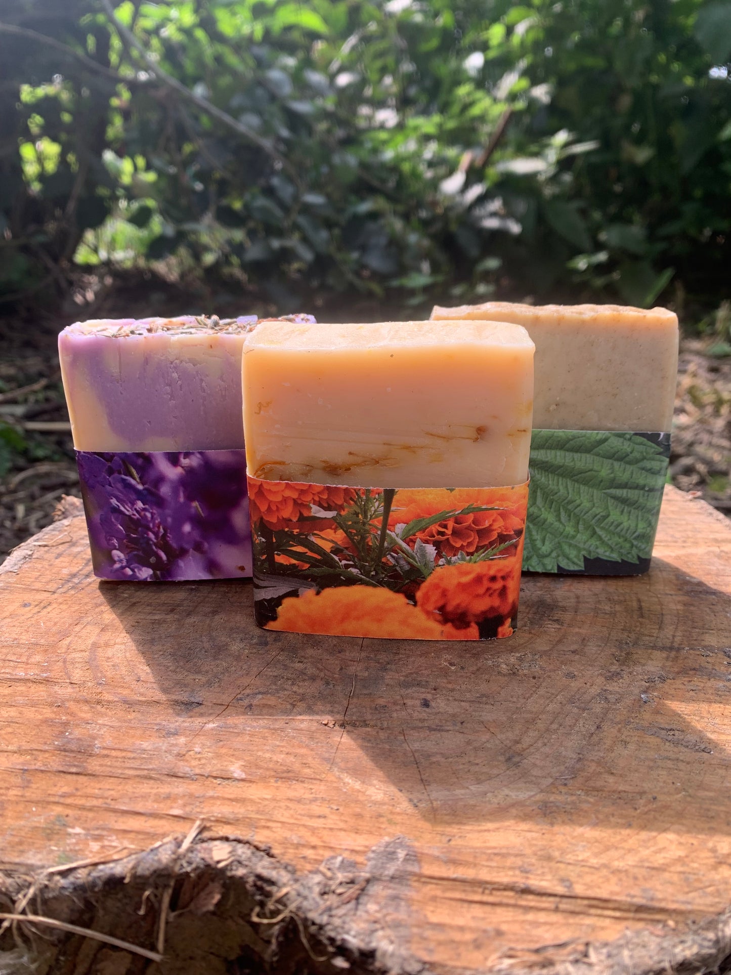 A Free Bar of Goats Milk Soap