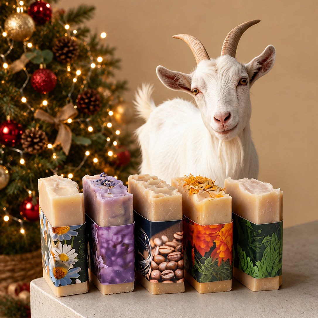 Five artisan goat soaps with colorful botanical labels are lined up on a stone ledge in front of a white goat with horns, with a decorated Christmas tree in the background.